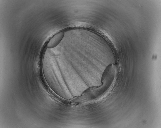 X0000094450392200711291704