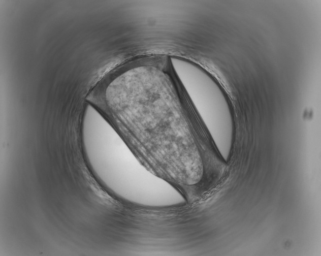 X0000094450393200711291704