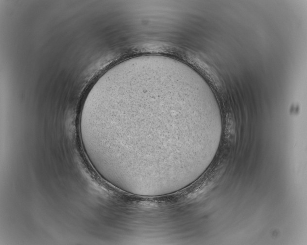 X0000094450394200711291704