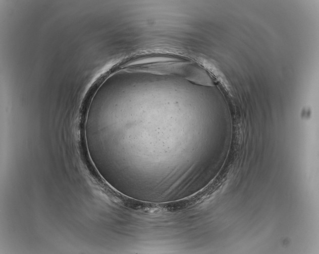 X0000094450395200711291704