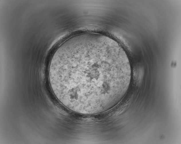 X0000094450396200711291704