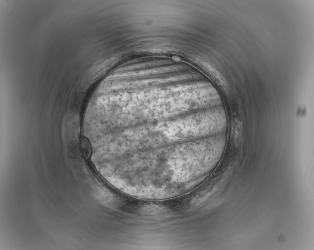 X0000094450397200711291704