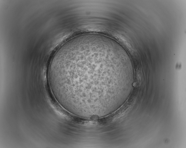 X0000094450398200711291704