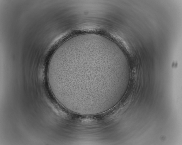 X0000094450400200711291704