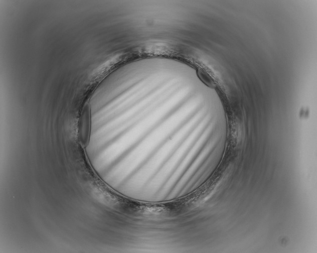 X0000094450401200711291704