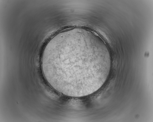 X0000094450403200711291704