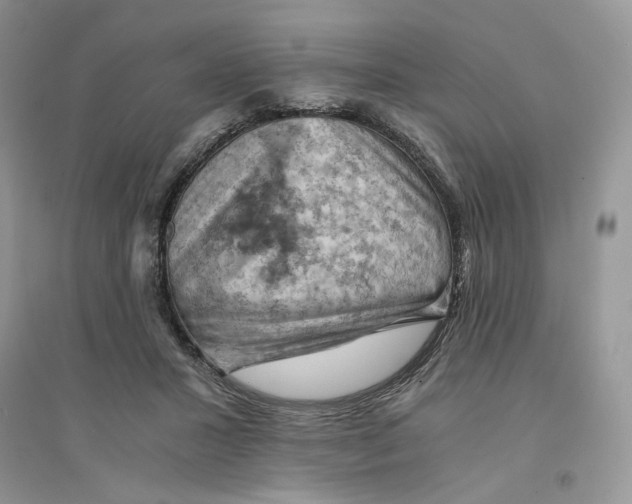 X0000094450407200711291703