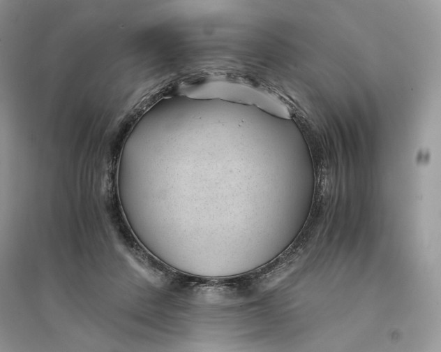 X0000094450408200711291703