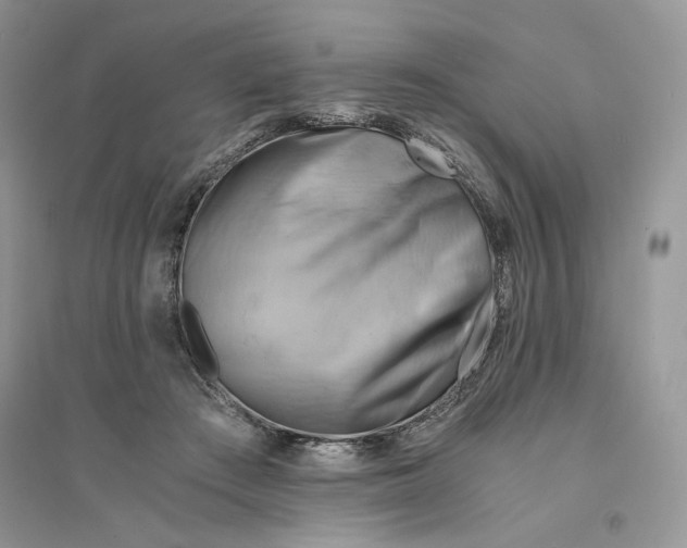 X0000094450409200711291703