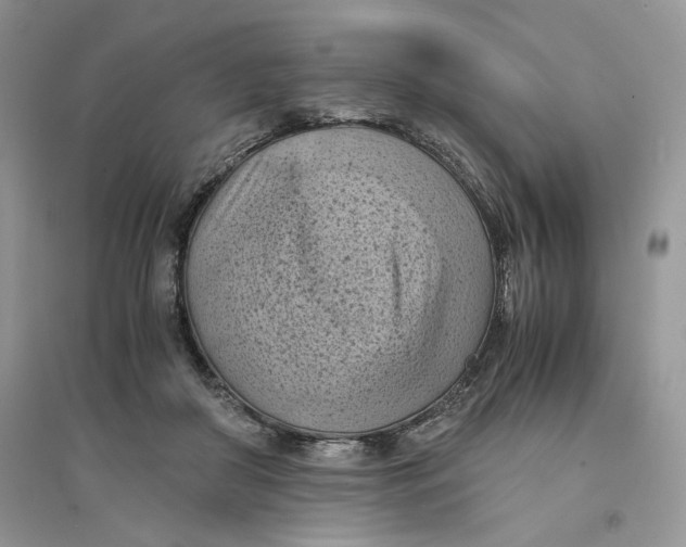 X0000094450410200711291703