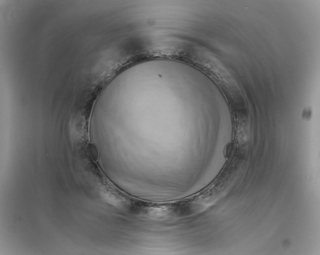 X0000094450411200711291703