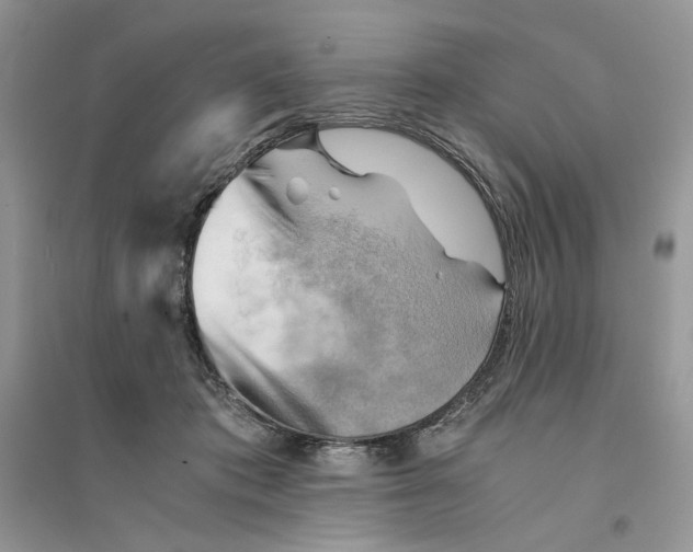 X0000094450413200711291703