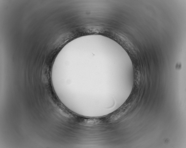 X0000094450414200711291703