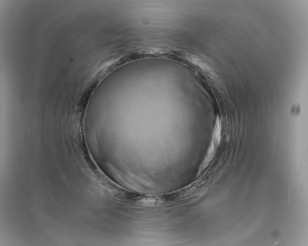 X0000094450415200711291703