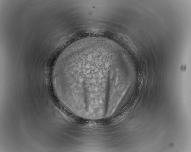 X0000094450416200711291703