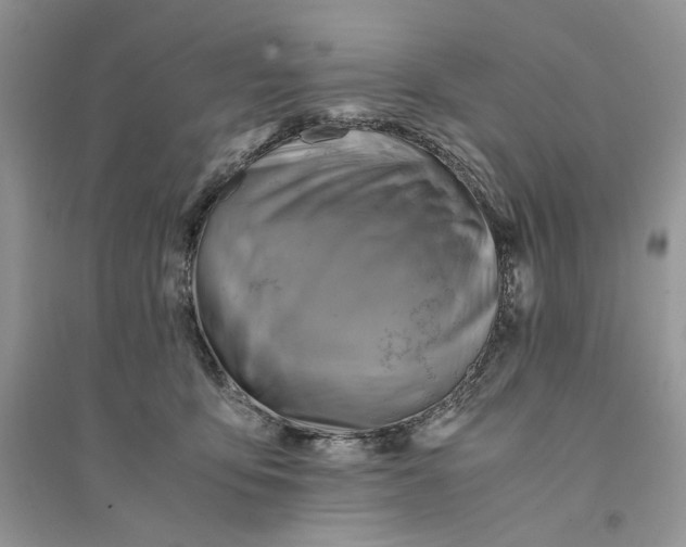 X0000094450419200711291703