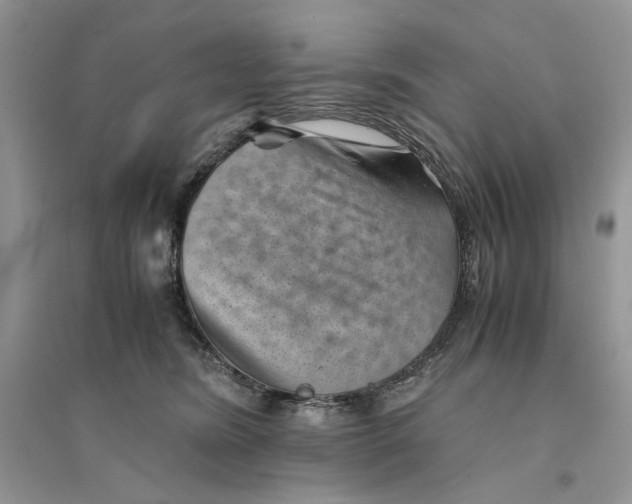 X0000094450420200711291703