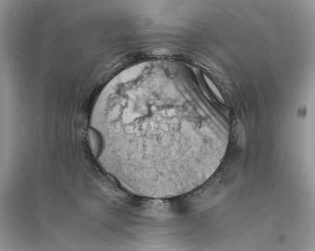 X0000094450421200711291703