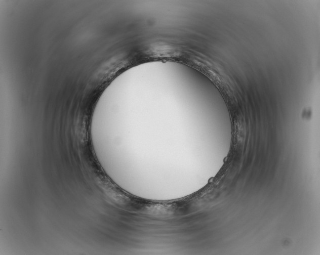 X0000094450422200711291703