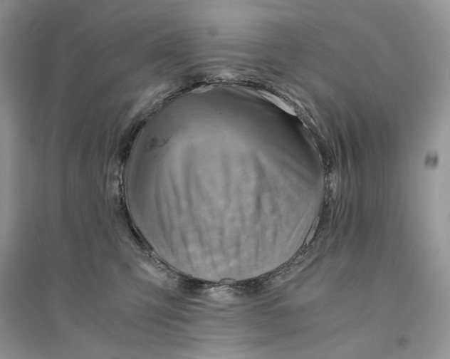 X0000094450423200711291703