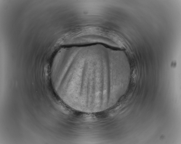 X0000094450424200711291703