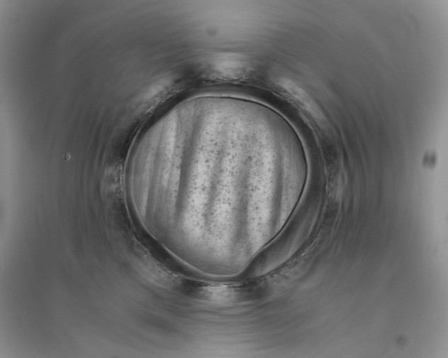 X0000094450425200711291703