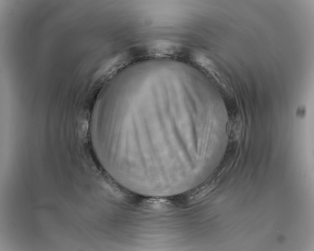 X0000094450427200711291703