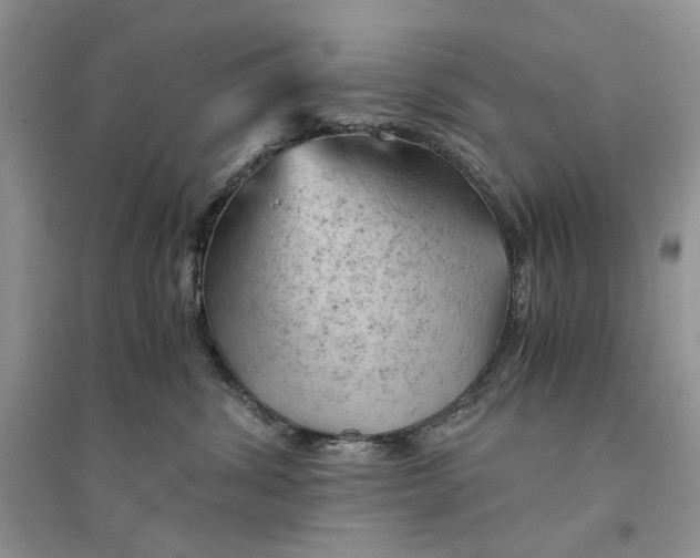 X0000094450428200711291703