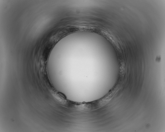 X0000094450430200711291703