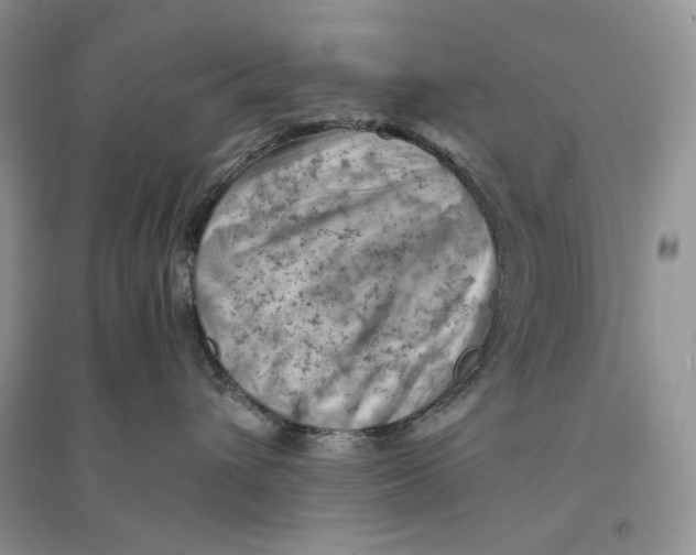 X0000094450432200711291703