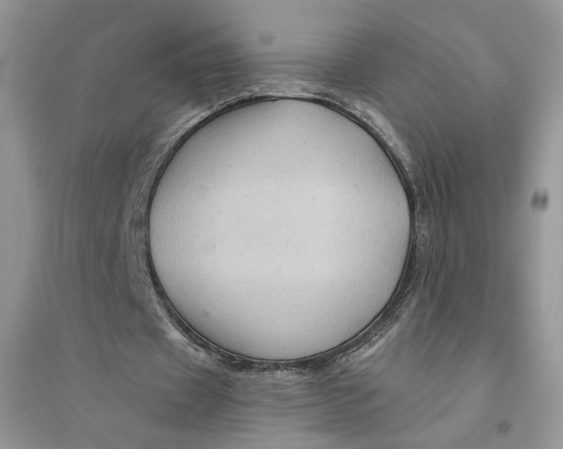 X0000094450433200711291702