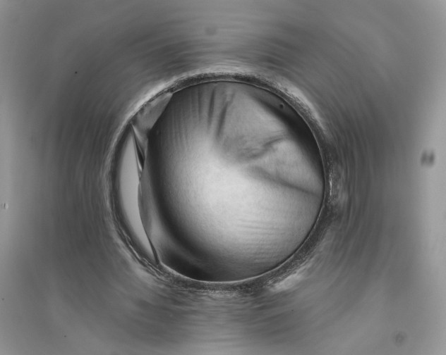 X0000094450436200711291703