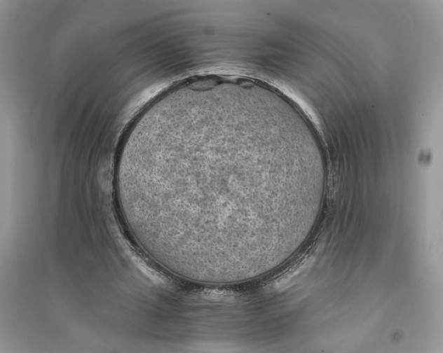 X0000094450437200711291703