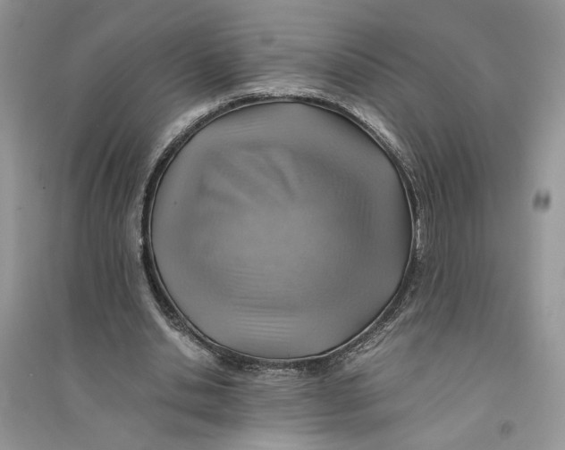 X0000094450438200711291703