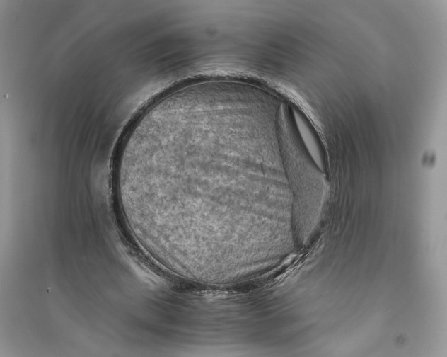 X0000094450439200711291703