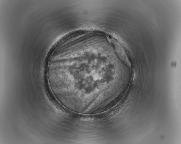 X0000094450440200711291703