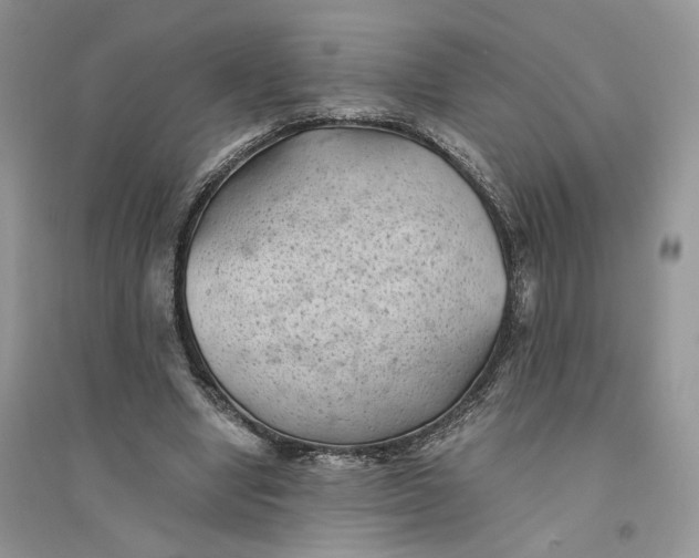 X0000094450442200711291703