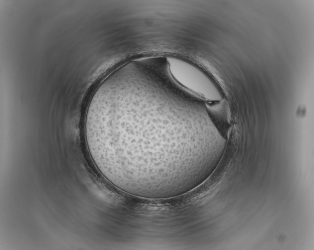 X0000094450443200711291703