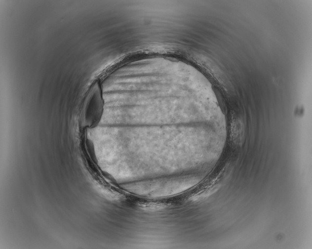 X0000094450444200711291703