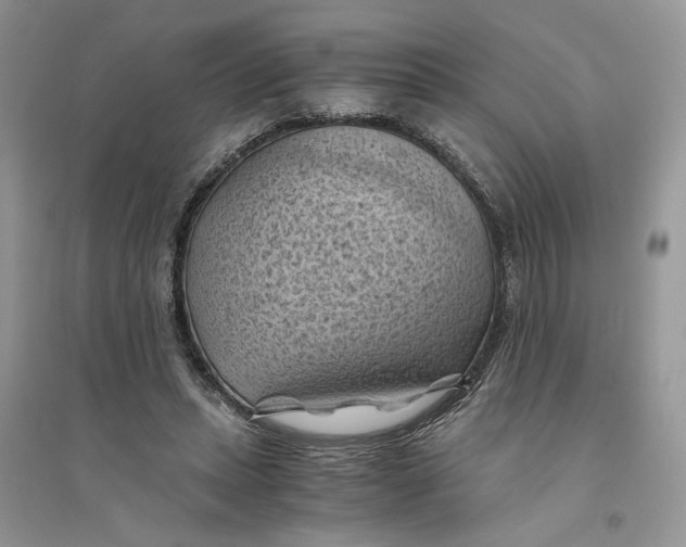 X0000094450447200711291703