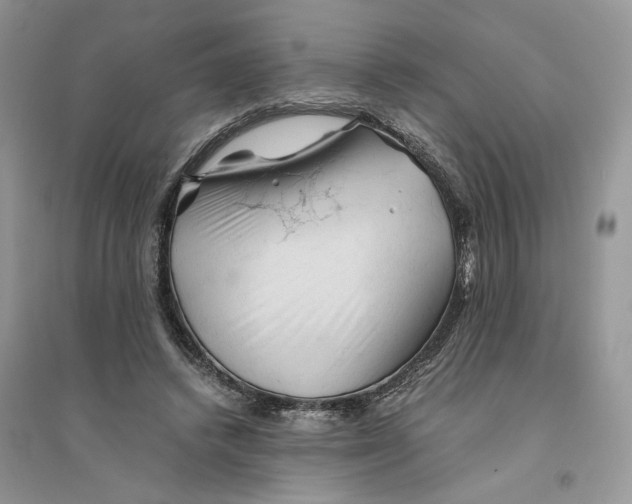 X0000094450448200711291703