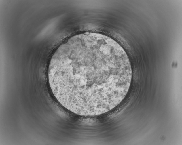 X0000094450449200711291703