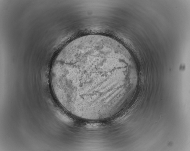 X0000094450450200711291703