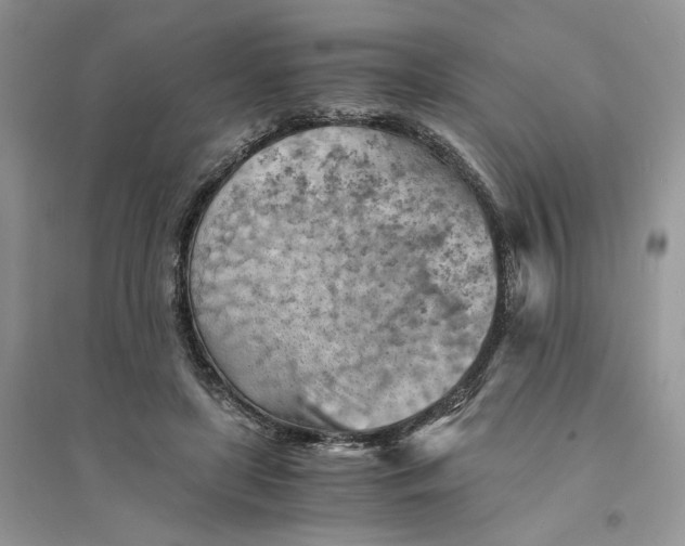 X0000094450451200711291703