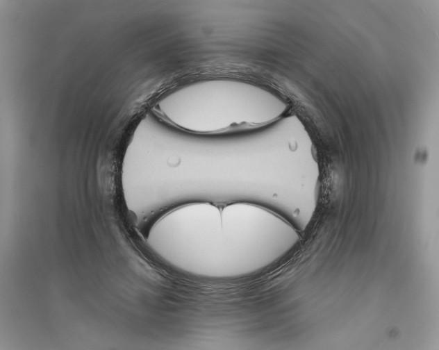 X0000094450452200711291703