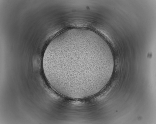 X0000094450453200711291703