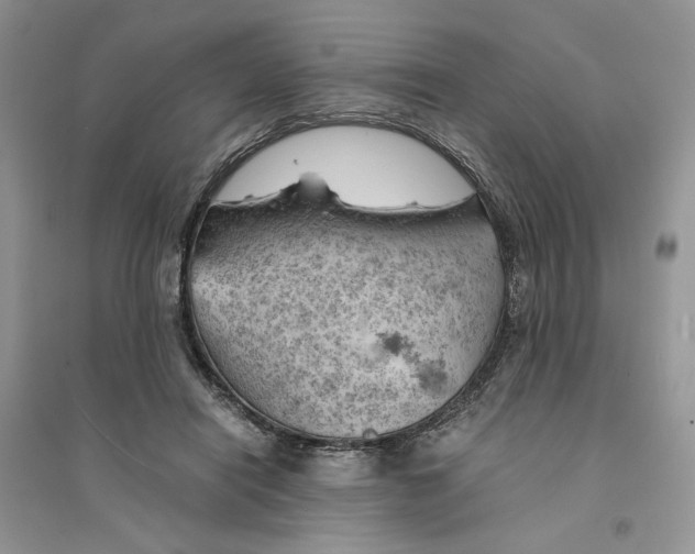 X0000094450454200711291703