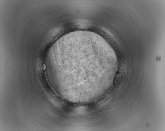 X0000094450456200711291703