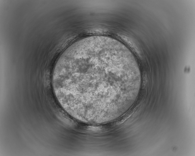 X0000094450457200711291703