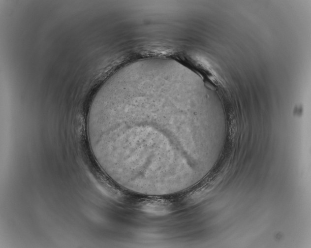 X0000094450459200711291703